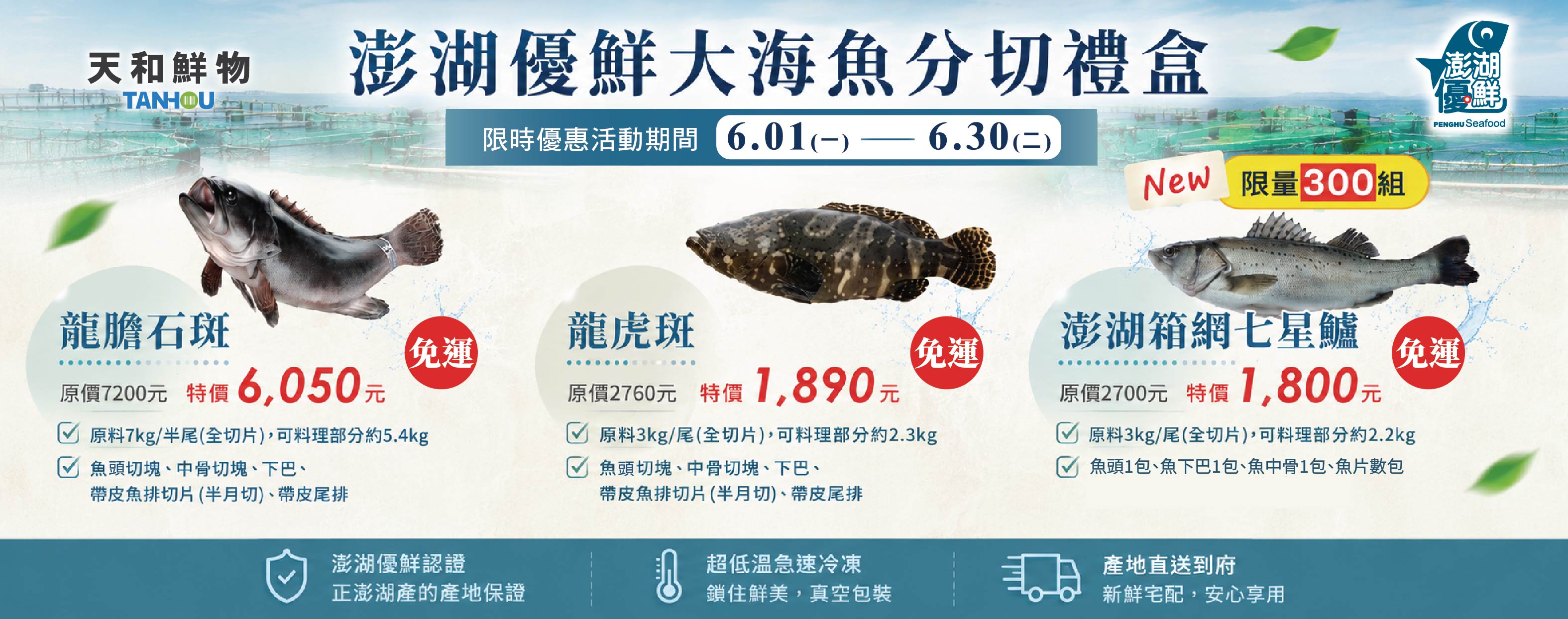 202606全魚優惠