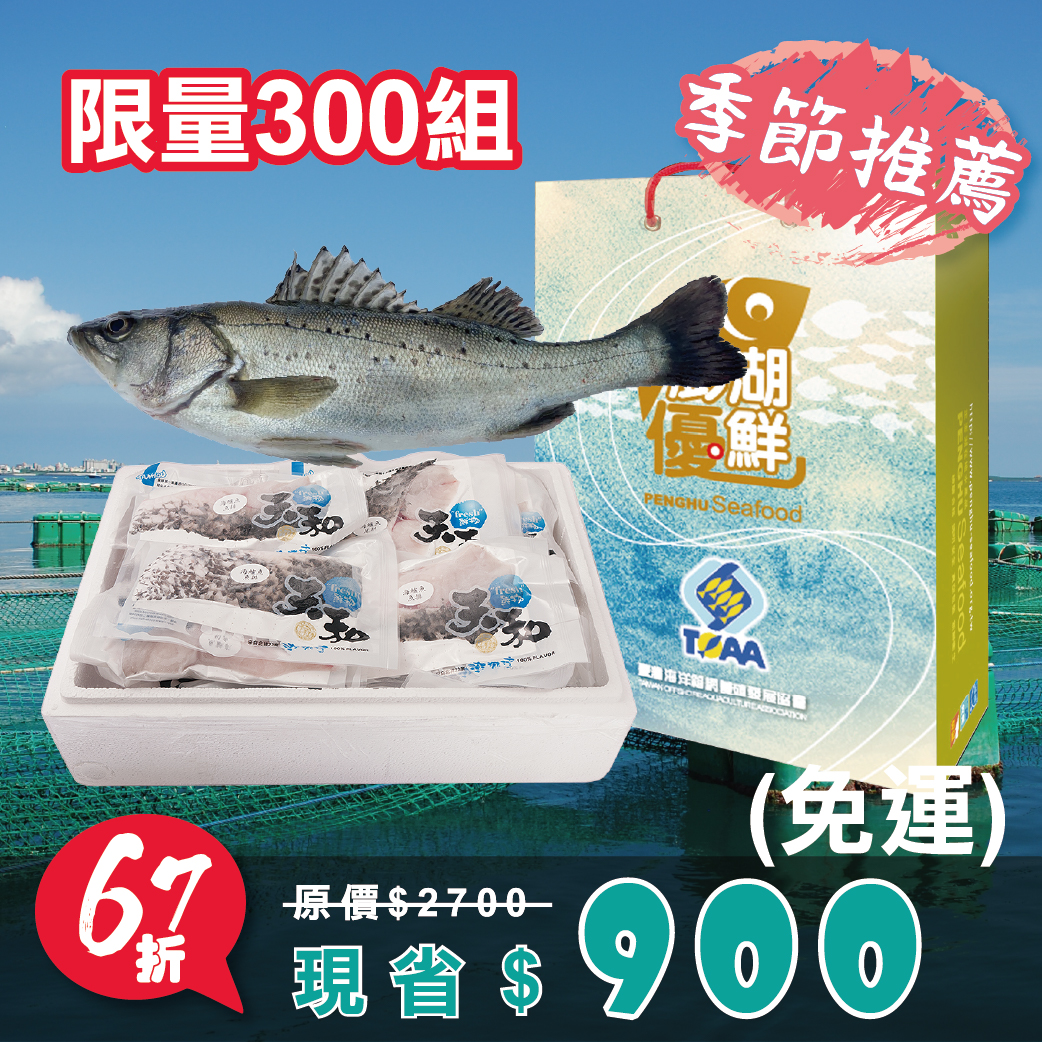 【天和鮮物X澎湖優鮮】澎湖箱網七星鱸魚全魚分切禮盒3kg/尾