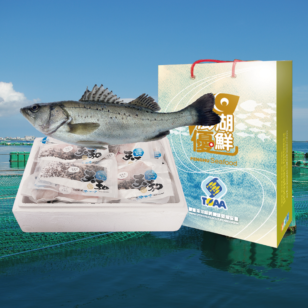 【天和鮮物X澎湖優鮮】澎湖箱網七星鱸魚全魚分切禮盒3kg/尾
