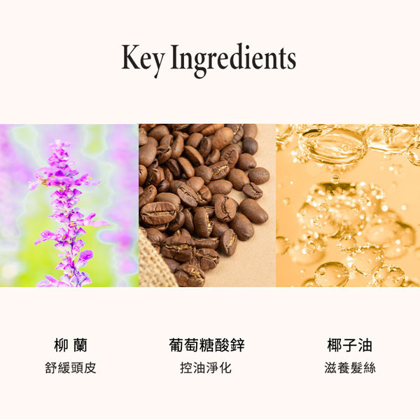 HerMoon綠茶玫瑰控油洗髮精500ml