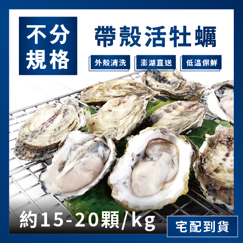 宅配到貨丨天和澎湖帶殼活牡蠣-10公斤(免運費/無法全家店取/澎湖獨立出貨勿併單/離島不送/冰鮮食材不開放貨到付款/不列入2026週年慶滿額活動/無法使用折扣碼折抵)