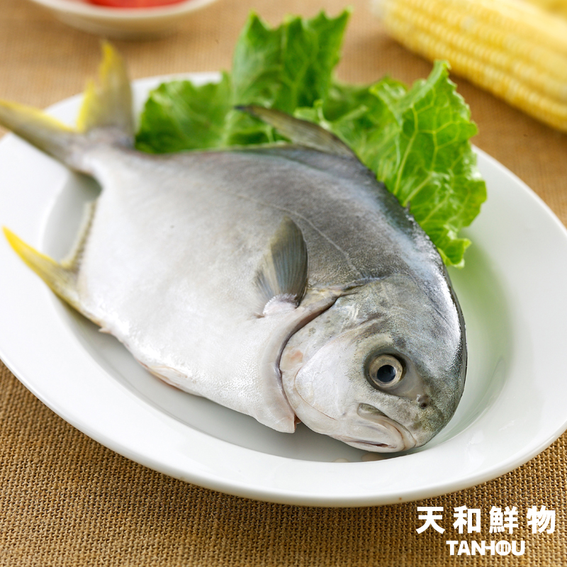 黃金鯧600g