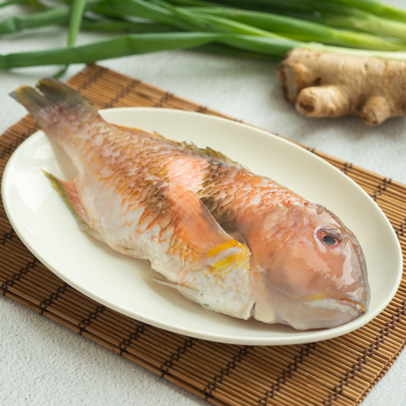 澎湖手釣寒鯛(紅鰱)500g