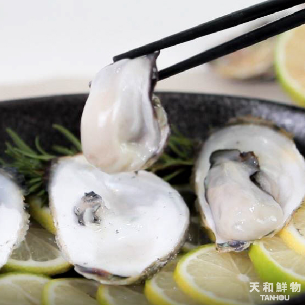 宅配到貨丨天和澎湖帶殼活牡蠣-15公斤(免運費/無法全家店取/澎湖獨立出貨勿併單/離島不送/冰鮮食材不開放貨到付款/不列入2026週年慶滿額活動/無法使用折扣碼折抵)