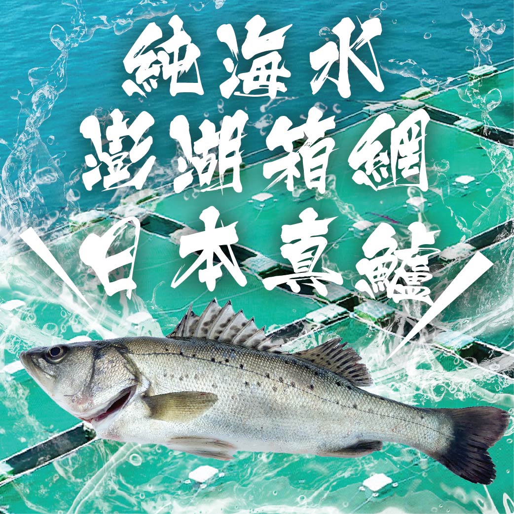 【天和鮮物X澎湖優鮮】日本真鱸全魚240g/尾