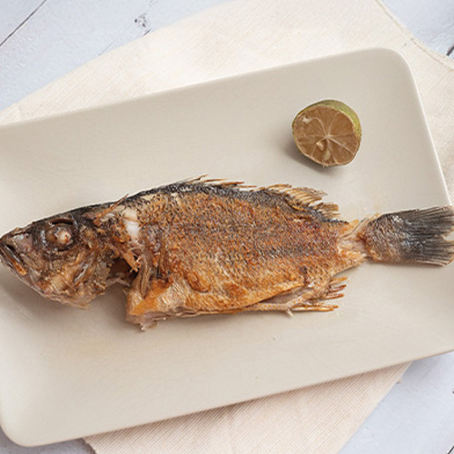 澎湖潮間帶養殖黑點笛鯛300g