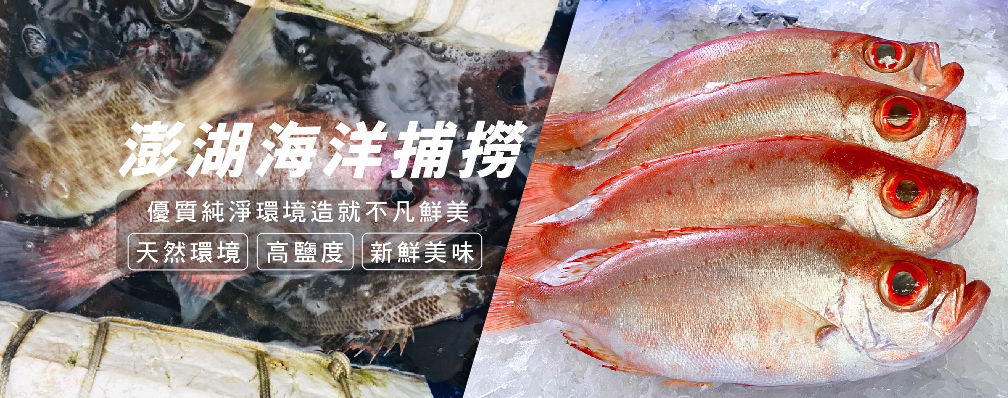 天和安心水產