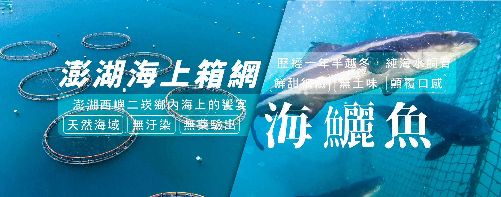 天和安心水產