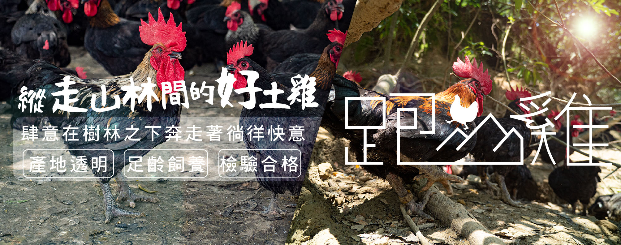 安心肉品