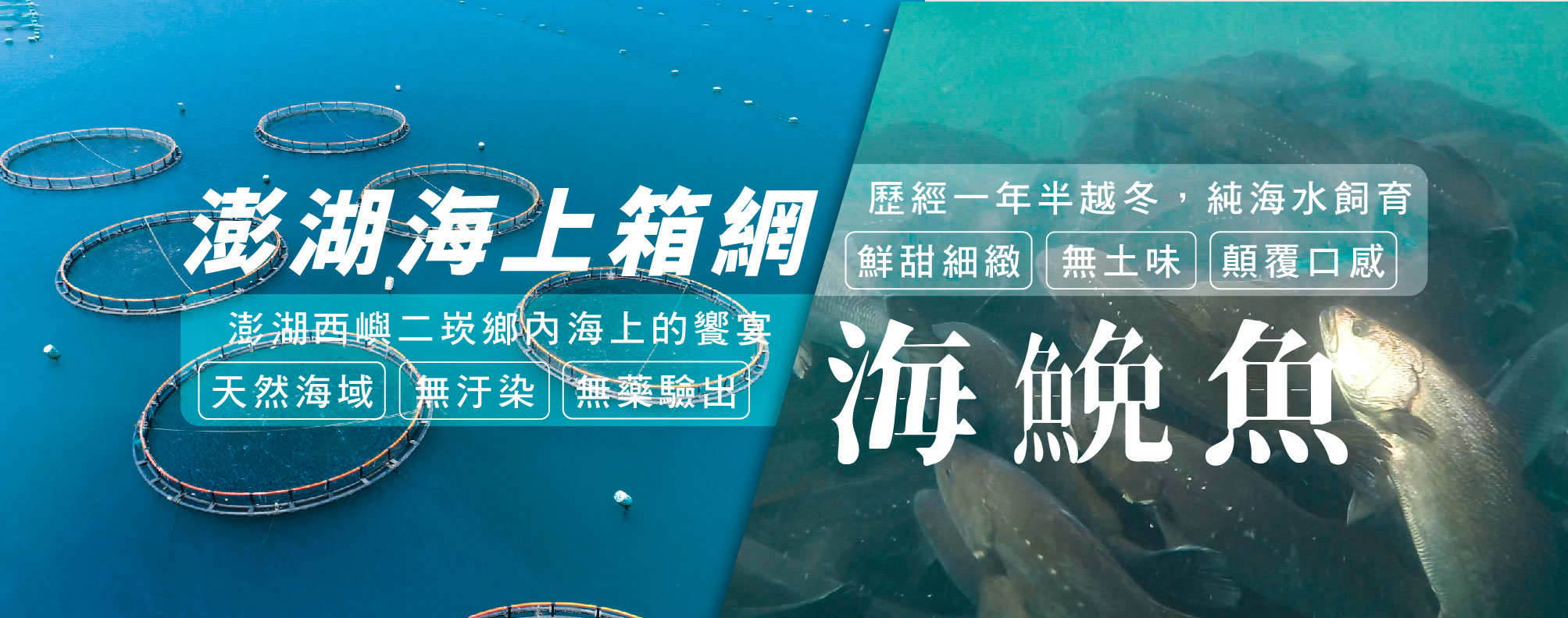 天和安心水產