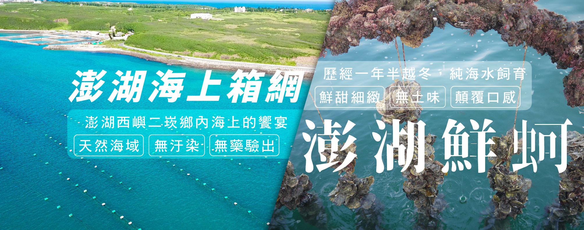 天和安心水產