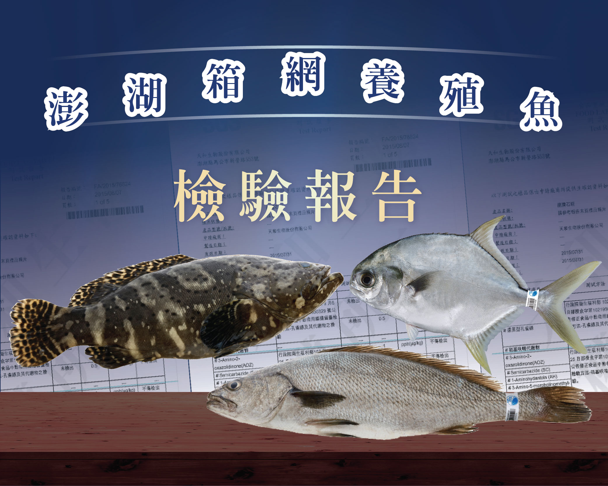 澎湖箱網養殖魚 檢驗報告